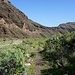 Im Barranco de Juan de Vera