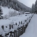 Winter im Mühlbacher Tal