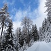 Winterzauber