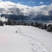 herrlich