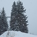 Gipfelkreuz im Schneegestöber