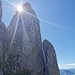 schöner Sonnenstern - zur richtigen Zeit am richtigen Ort und Gelegenheit zum Schnappschuss  genützt ?