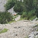 erstes Gamswild auf der Südseite