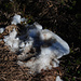 Ui, Schnee