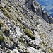 Übergang zum Treffauer, Gipfelkreuz Tuxeck aus dieser Perspektive