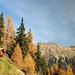Herbst im schönen Südtirol