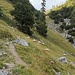 Zwischen Klettersteig und Hirschlack am Widauersteig