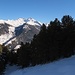 dem Wald entronnen