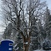 Im Sattel zwischen Schluechtegg und Winterberg steht der imposante <em>Gründerahorn</em>.<br /><br /><br />
