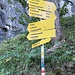 vor dem Erreichen des WP Schleierwasserfall 
