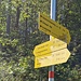 beim Aufstieg zum Stripsenjoch