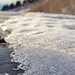 ice sculpture