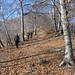 Ritornati sul tragitto verso l’Alpe Ompio, abbiano ripreso la discesa. Di lì a poco, sentendo il tipico calpestio di foglie secche causato da animali in corsa nel bosco, mi sono girato in tempo per vedere delle sagome scure che ci attraversavano il sentiero che in un primo tempo avevo preso per camosci, invece erano una decina di cinghiali che, molto velocemente, hanno continuato la loro fuga nel bosco alla nostra destra.