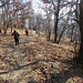 Raggiunta Ruspesso (dove ha termine la strada che sale da Santino - Verbania), abbiamo seguito il sentiero segnalato che scende di fianco alla strada, tagliando ogni tanto qualche tornante, ma rimanendo sempre nel bosco.