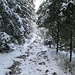 Jetzt folge ich dem Fernwanderweg "Westweg" hinunter nach Forbach. Da der Schnee jetzt dünner wird und die Harscheisen meiner Schneeschuhe dauernd auf Steine durchstoßen, ziehe ich sie jetzt aus. Die Stöcke behalte ich aber noch, weil es teilweise etwas rutschig ist.