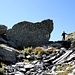 Dopo Curciusa Alta (2139 m) il sentiero sale con maggior pendenza per raggiungere in poco più di due chilometri la meta più elevata della giornata: la <b>Bocchetta de Curciusa (2420 m)</b>.
