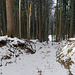 steil geht es durch den Wald hinunter nach Unter Altenstein 