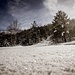 Unberührte Schneedecke auf 1200m Höhe