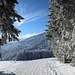 Abstieg auf dem als Rodelbahn präparierten Fahrweg.