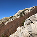 Im Abstieg vom Monte Pollino - Blick auf dessen Westflanke.