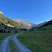 Alp Valorsch