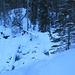 Nachdem an der inoffziellen Route 3 Skitourengeher umgedreht hatten, da oben Schneebretter lauerten, kürze ich hier im Wald zur offiziellen Skiroute hin ab.