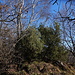 Cima Monte Clemo