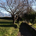 Solto Collina