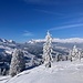 fantastischer Ausblick über die wunderbare Winterlandschaft