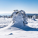 Triebschnee im Lee einer Fichte am Gazon du Faing (1306 m), einer kaum wahrnehmbaren Buckel-Erhebung in der Hochfläche der Kammlinie. Teils führt der Weg (GR5) auch über Holzbohlen-Stege, denn hier befindet sich ein Hochmoor.