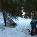 Im Gegensatz zum letzten Mal nahmen wir gleich an der Bergstation den Sommerwanderweg durch den Wald, der auch als Schneeschuhroute ausgeschildert ist. Alternativ könnte man zunächst auch auf der Loipe taleinwärts laufen und dann die Skipiste hoch.