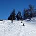 ...auf ein breiteres Plateau bei der Baumgrenze...