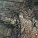 unterwegs im Wald über dem Walensee