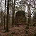 Völlig frei am Weg steht das Männlein im Walde
