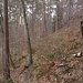 Wieder so ein schöner Wanderpfad