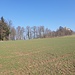 Schloss Habsburg