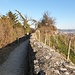 Ruine Stein