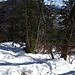 Der Abstieg zur Pessenbacher Schneid gleicht mittlerweile eher eine Rutschpartie, weil der Schnee in der prallen Sonne doch schon recht sulzig geworden ist. 