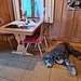 <b>Colazione a St. Antönien in compagnia di Nevio.</b>