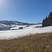 Sicht über das Hochmoor in Richtung Rothenthurm