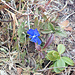 Frühling oder Winter? Heute auf 2000 Meter