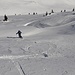 Descente dans le vallon voisin, dit du Tatarul. Roule, tata ! 