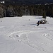 C'est pas le Canada ou le Japon, mais c'est plutôt mieux que dans les Alpes en cette fin février 2023. Bon ça c'est Manu, il skie comme ça dans toutes les neiges