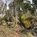 eindrückliche Bergsturzrelikte