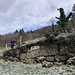Melanie - zwischen verschiedenen Wegzeichen auf Gr. Rossberg