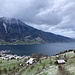 Rückblick 2 - mit Arth am Zugersee