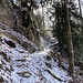 Sonne, Wind und leichtes Schneegestöber zeichnen für einen prächtigen Wegabschnitt verantwortlich