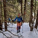 Remontée au Tataru par la forêt. Au moins on est à l'abri.