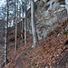 Vorne am Baum stößt man auf den Bergwanderweg von Fläsch nach Mäls/Balzers, der den Felsen entlang hochgeht. Wir folgen ihm nach rechts zum Einstieg in den Leiterliweg.