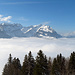 freie Sicht über die Tannengipfel und dem Nebel zum Alpstein
